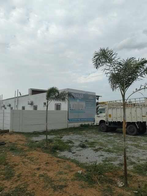 M Convention Function Hall